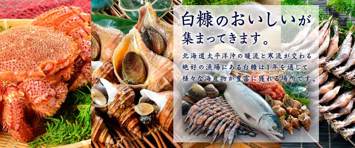 集まってきます。白糠のおいしいが北海道太平洋沖の暖流と寒流が交わる
絶好の漁場にある白糠は１年を通じて
様々な海産物が豊富に獲れる場所です。